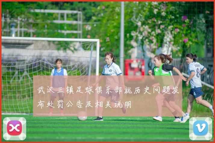 武汉三镇足球俱乐部就历史问题发布处罚公告及相关说明